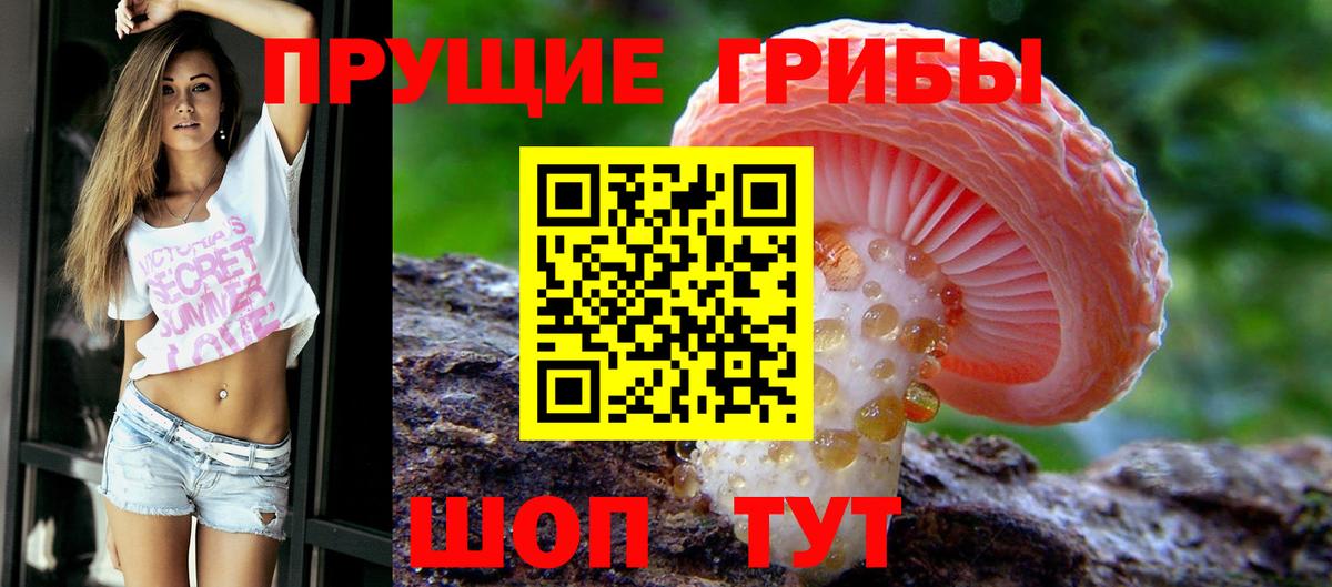 Галлюциногенные грибы прущие грибы Прохладный