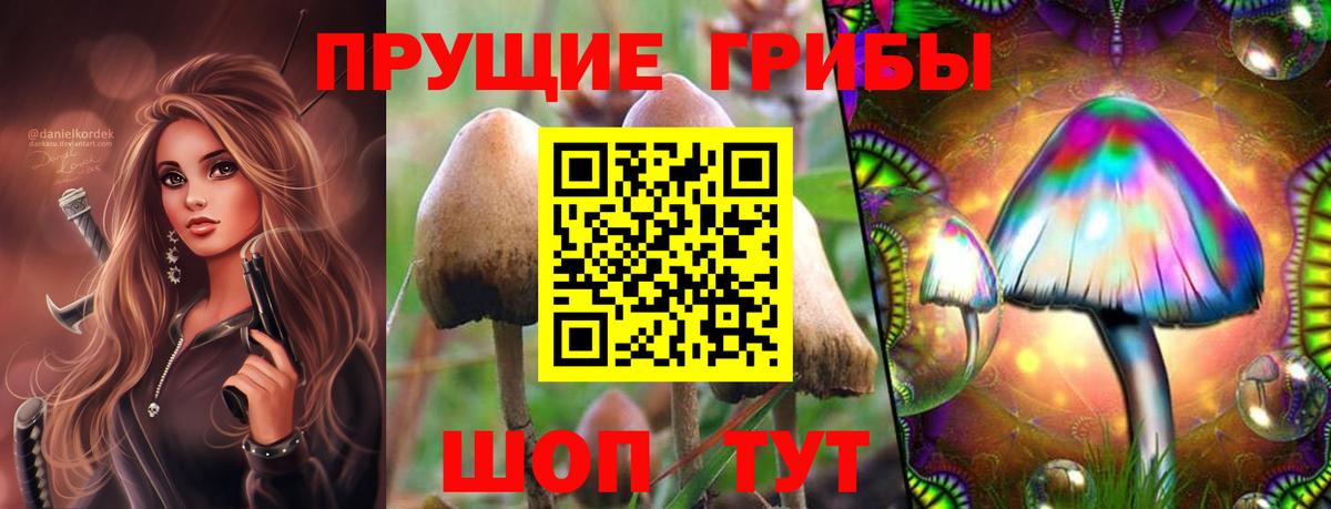 Прохладный  Псилоцибиновые грибы мухоморы  Галлюциногенные грибы прущие грибы  Вход с VPN 