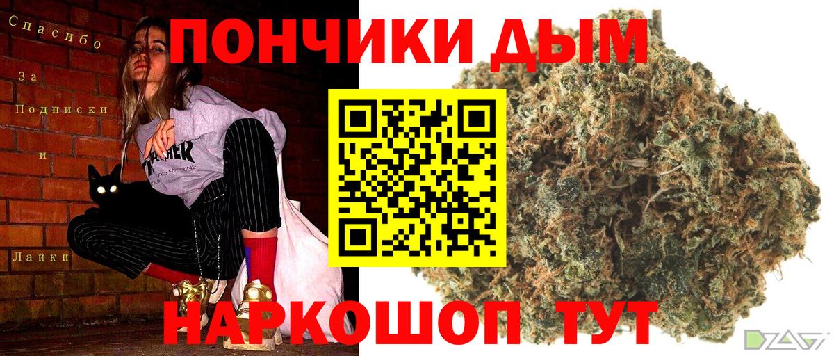 Канабис план  Конопля THC 21%  Прохладный  Марихуана конопля  Вход с VPN 